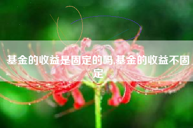 基金的收益是固定的吗,基金的收益不固定