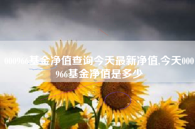 000966基金净值查询今天最新净值,今天000966基金净值是多少