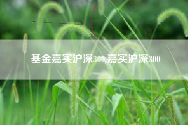 基金嘉实沪深300,嘉实沪深300