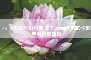 002800天顺股份股票,关于002800天顺股份股票的投资建议
