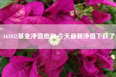 161032基金净值查询,今天最新净值下跌了