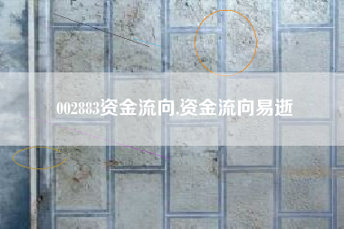 002883资金流向,资金流向易逝