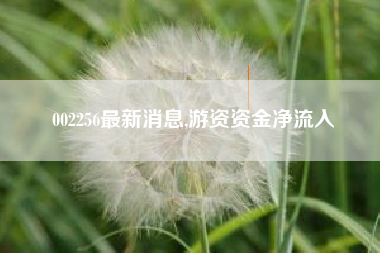 002256最新消息,游资资金净流入