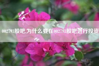 002793股吧,为什么要在002793股吧进行投资