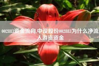 002883资金流向,中设股份002883为什么净流入游资资金