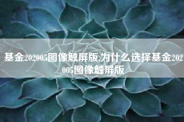 基金202005图像触屏版,为什么选择基金202005图像触屏版