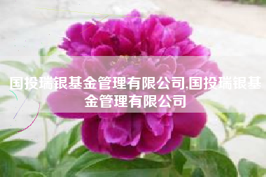 国投瑞银基金管理有限公司,国投瑞银基金管理有限公司