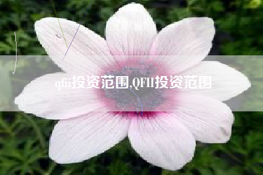 qfii投资范围,QFII投资范围