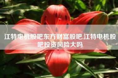 江特电机股吧东方财富股吧,江特电机股吧投资风险大吗