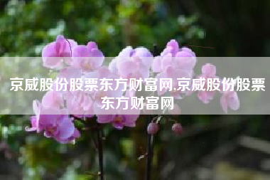 京威股份股票东方财富网,京威股份股票东方财富网