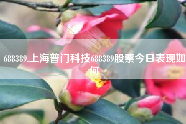 688389,上海普门科技688389股票今日表现如何