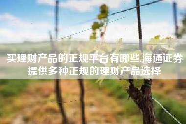 买理财产品的正规平台有哪些,海通证券提供多种正规的理财产品选择