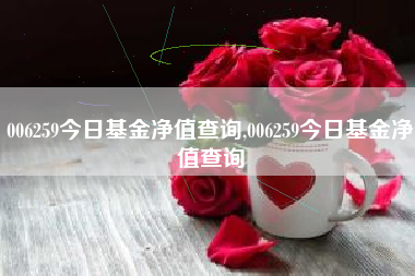 006259今日基金净值查询,006259今日基金净值查询