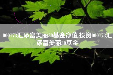 000173汇添富美丽30基金净值,投资000173汇添富美丽30基金