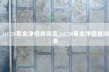 161720基金净值查询表,161720基金净值查询表