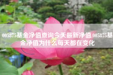 005875基金净值查询今天最新净值,005875基金净值为什么每天都在变化