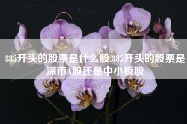 885开头的股票是什么股,885开头的股票是深市A股还是中小板股