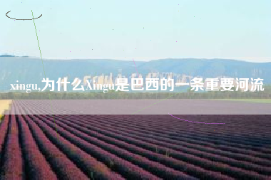xingu,为什么Xingu是巴西的一条重要河流