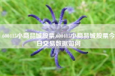 600415小商品城股票,600415小商品城股票今日交易数据如何