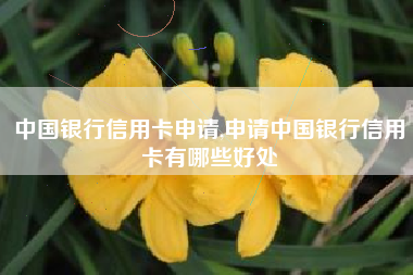 中国银行信用卡申请,申请中国银行信用卡有哪些好处