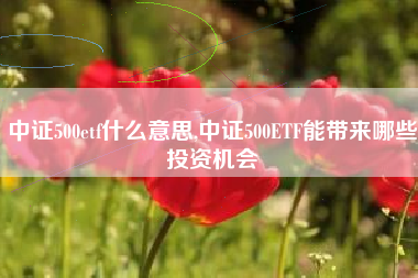 中证500etf什么意思,中证500ETF能带来哪些投资机会
