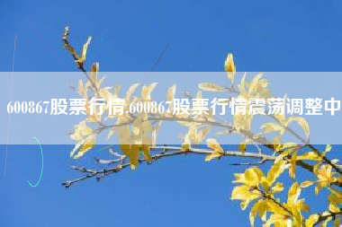 600867股票行情,600867股票行情震荡调整中