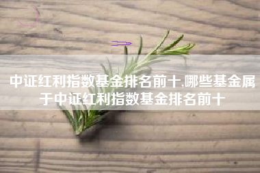 中证红利指数基金排名前十,哪些基金属于中证红利指数基金排名前十