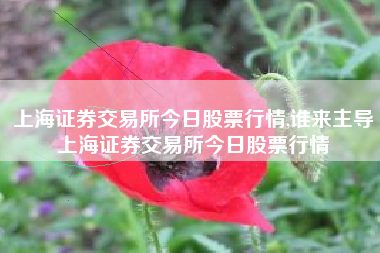 上海证券交易所今日股票行情,谁来主导上海证券交易所今日股票行情