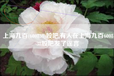 上海九百(600838)股吧,有人在上海九百600838股吧发了谣言