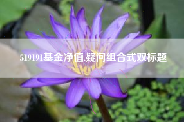 519191基金净值,疑问组合式双标题