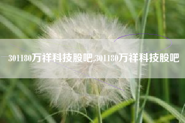 301180万祥科技股吧,301180万祥科技股吧