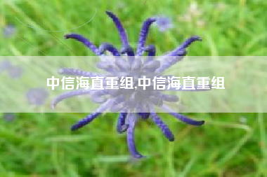 中信海直重组,中信海直重组