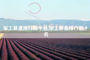 军工基金排行前十名,军工基金排行前十名