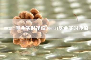 003834基金实时净值,003834基金实时净值