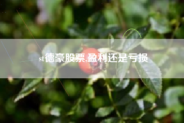 st德豪股票,盈利还是亏损