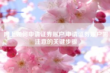 网上如何申请证券账户,申请证券账户需注意的关键步骤