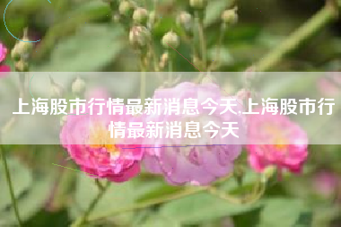 上海股市行情最新消息今天,上海股市行情最新消息今天
