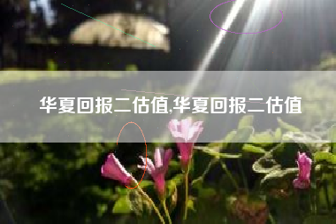 华夏回报二估值,华夏回报二估值