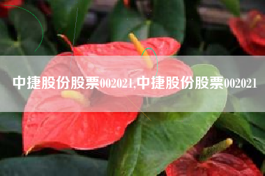 中捷股份股票002021,中捷股份股票002021
