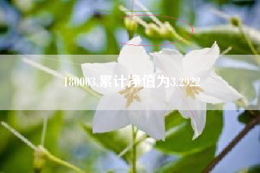 180003,累计净值为3.2922