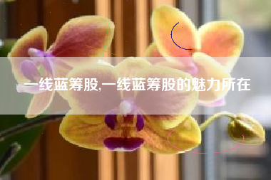 一线蓝筹股,一线蓝筹股的魅力所在