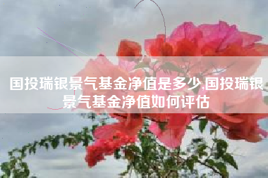 国投瑞银景气基金净值是多少,国投瑞银景气基金净值如何评估