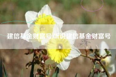 建信基金财富号,听说建信基金财富号