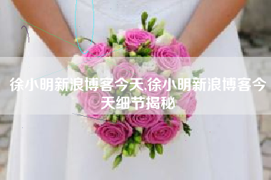 徐小明新浪博客今天,徐小明新浪博客今天细节揭秘