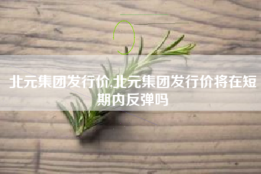 北元集团发行价,北元集团发行价将在短期内反弹吗