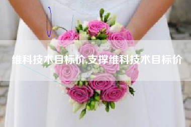 维科技术目标价,支撑维科技术目标价