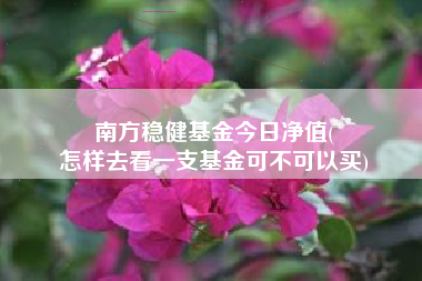 南方稳健基金今日净值(
怎样去看一支基金可不可以买)