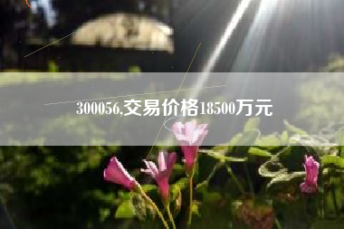 300056,交易价格18500万元