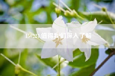 150224,值得我们深入了解