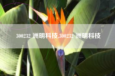 300232 洲明科技,300232 洲明科技